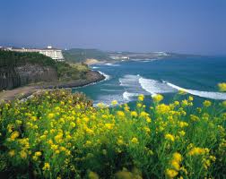 Đảo Jeju 